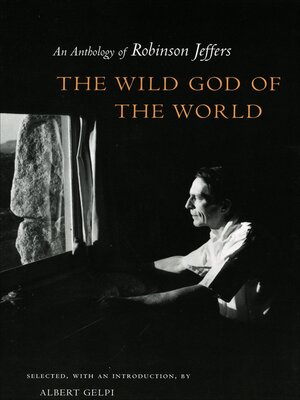 cover image of The Wild God of the World